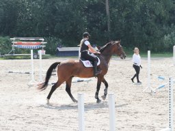 IMG_1323_web